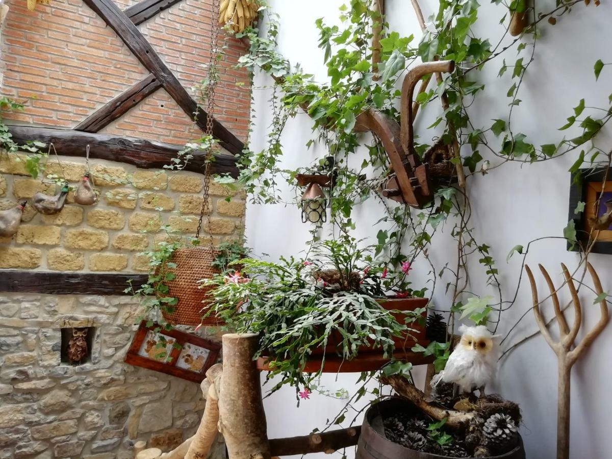 Apartamentos Samelar Camaleño Zewnętrze zdjęcie